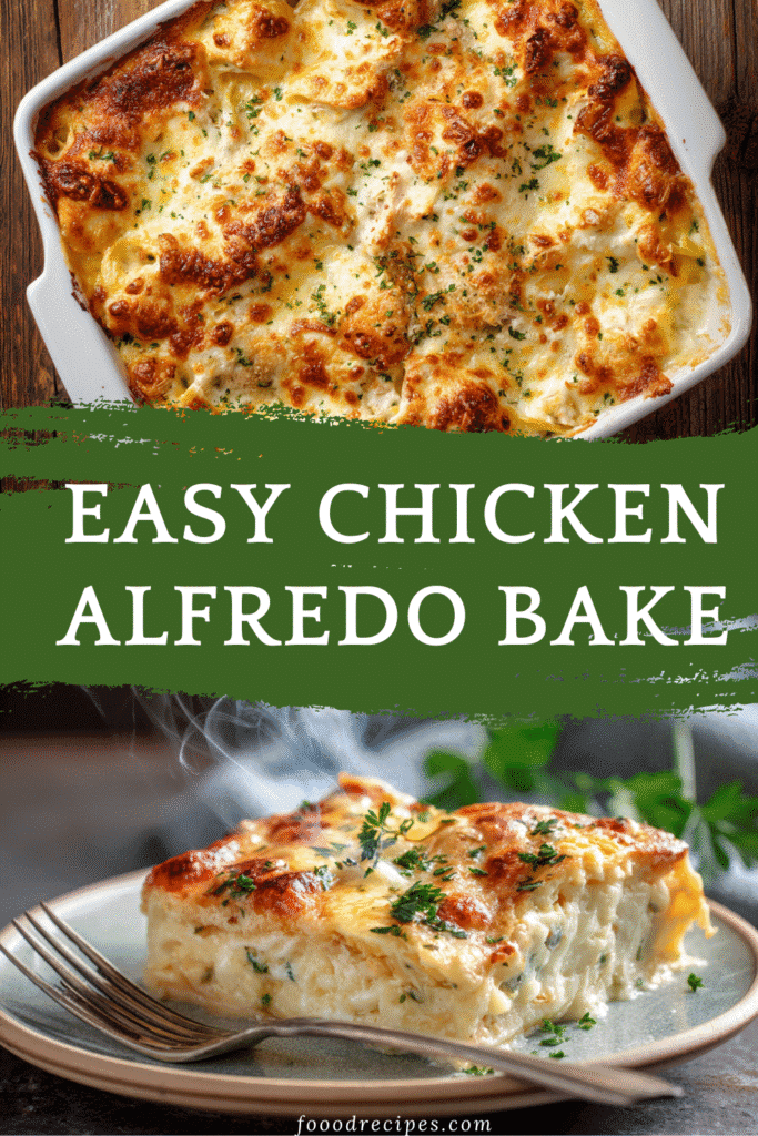 Easy Chicken Alfredo Bake with golden cheese and creamy pasta layers