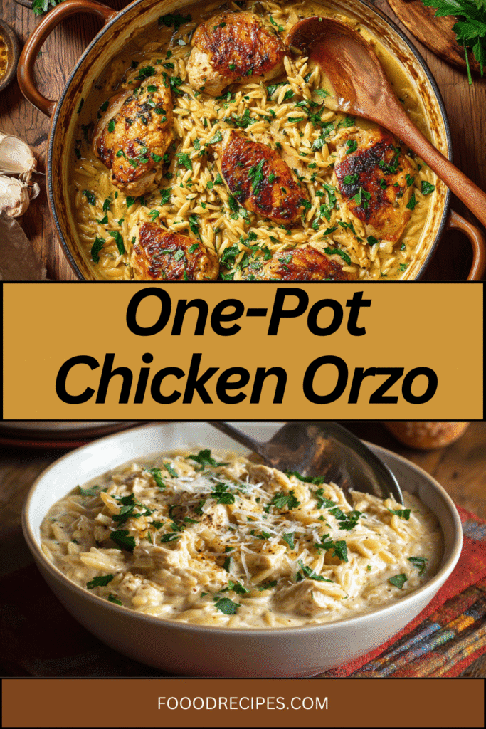 Delicious one-pot creamy chicken orzo topped with herbs and parmesan in a skillet and bowl, perfect for cozy weeknight dinners
